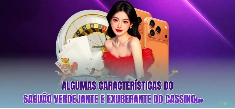 Programa VIP exclusivo da 120bet